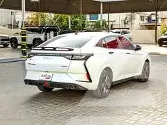 2025 Dong Feng 