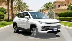2025 JAC J4