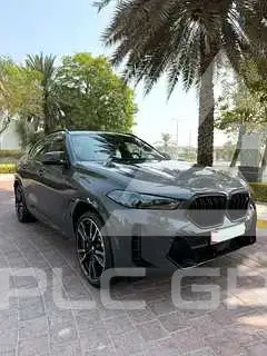 2026 BMW X6