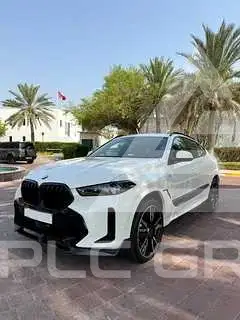 2026 BMW X6