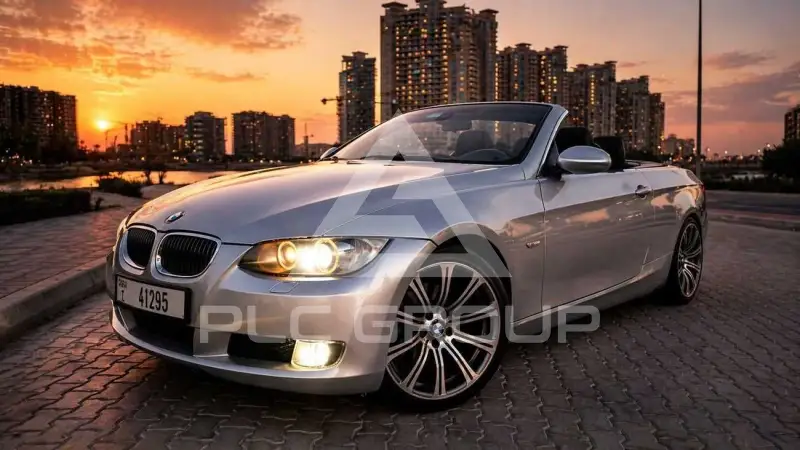 2008 BMW 325