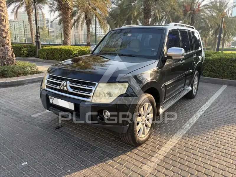 2009 Mitsubishi PAJARO