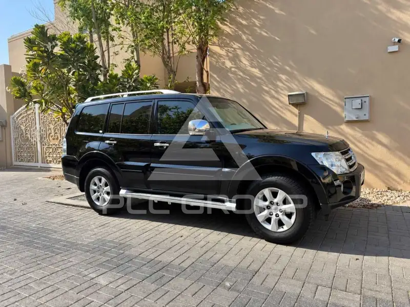 2009 Mitsubishi PAJARO