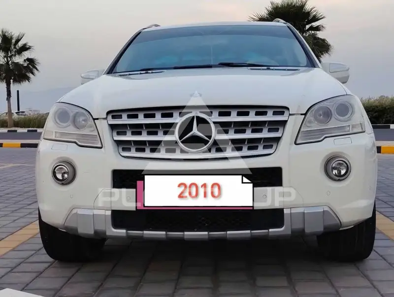 2010 Mercedes Benz ML 320
