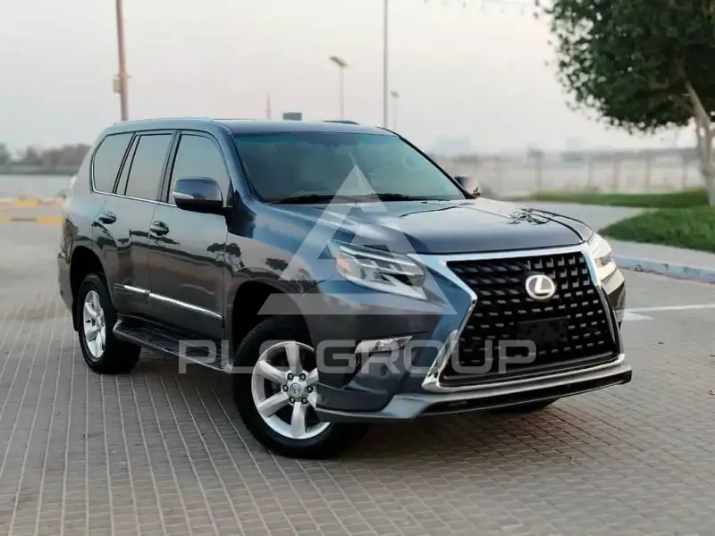 2010 Lexus GX460