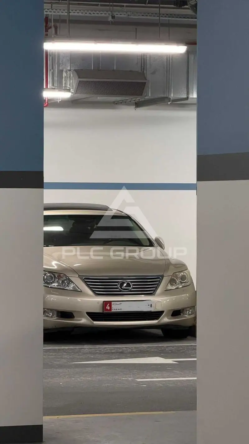 2010 Lexus LS460