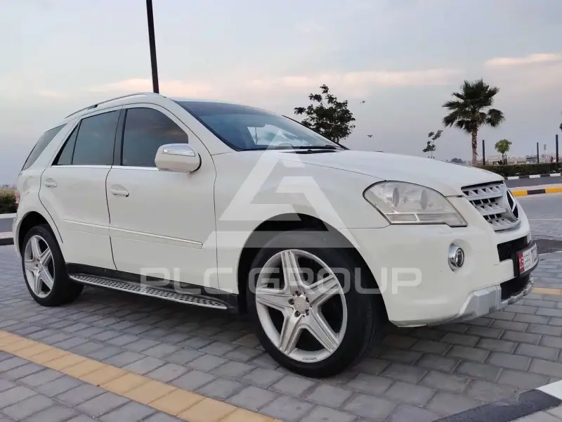 2010 Mercedes Benz Ml 350