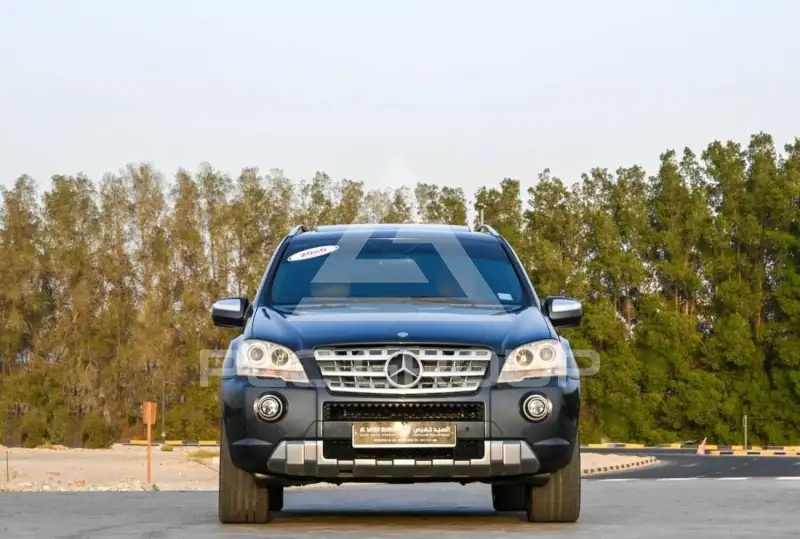 2010 Mercedes Benz Ml 350