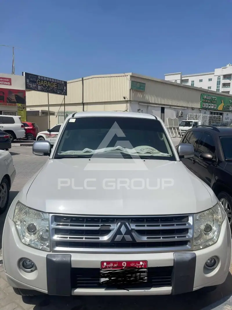 2011 Mitsubishi PAJARO