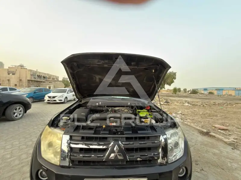 2013 Mitsubishi PAJARO