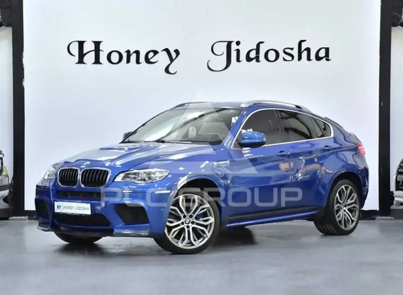 2013 BMW X6