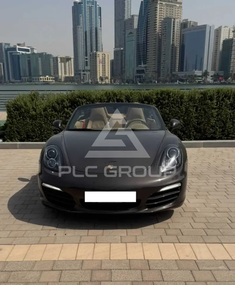 2013 Porsche 718