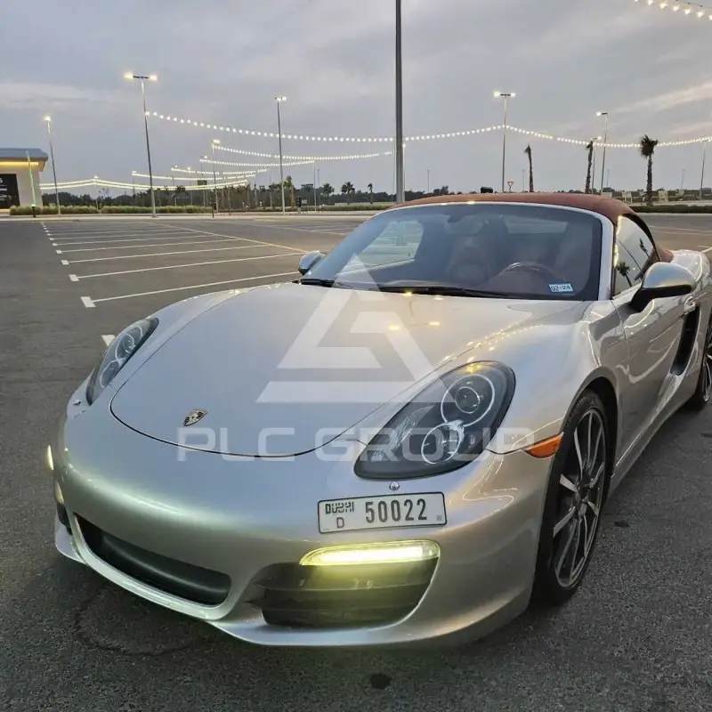 2013 Porsche 718