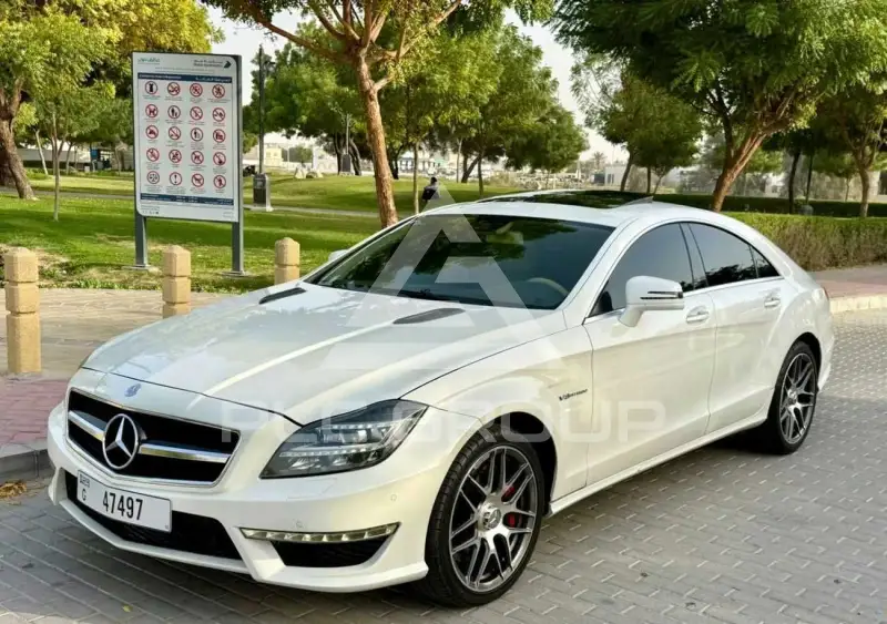 2013 Mercedes Benz CLS 500
