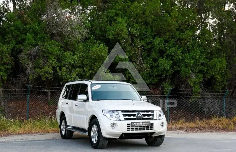 2014 Mitsubishi PAJARO