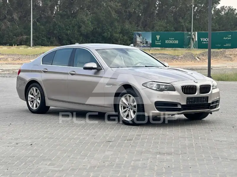 2014 BMW 520