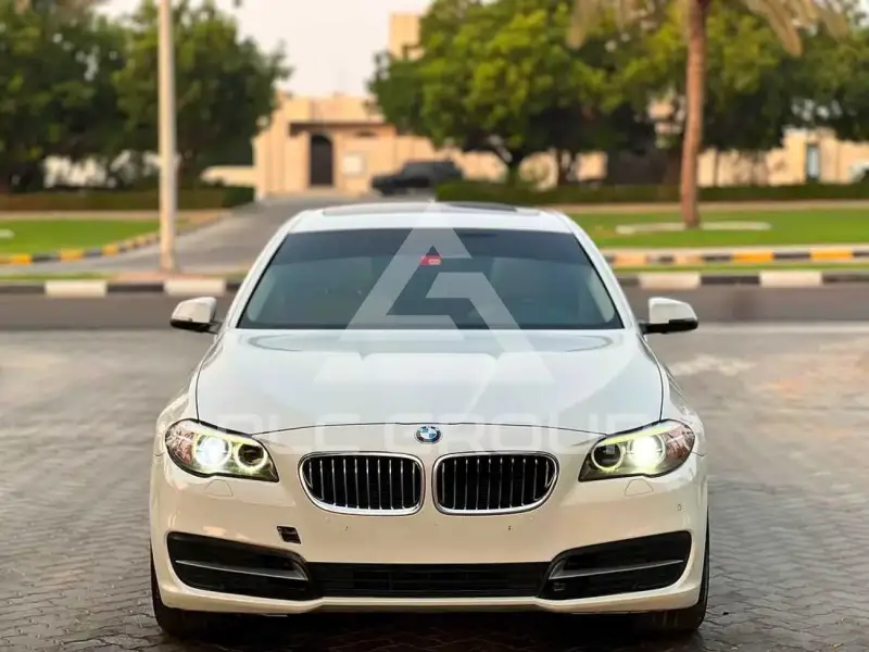 2014 BMW 520