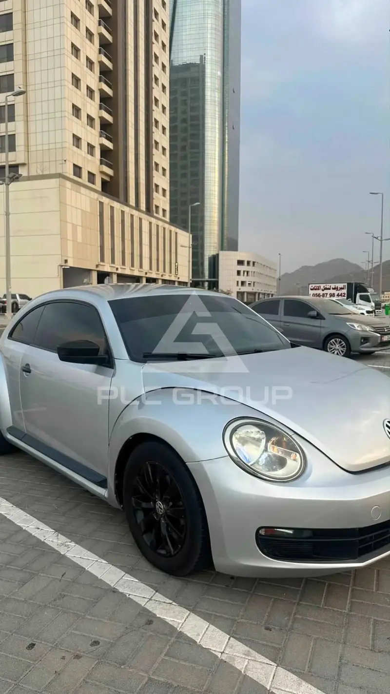 2014 Volkswagen BEETLE