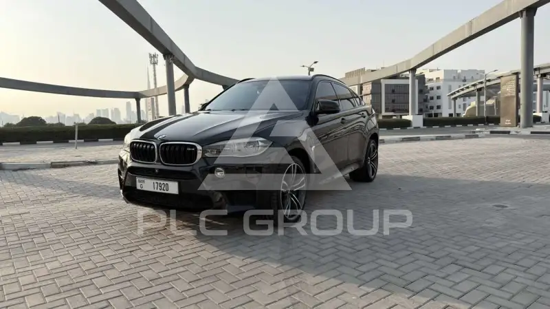 2015 BMW X6