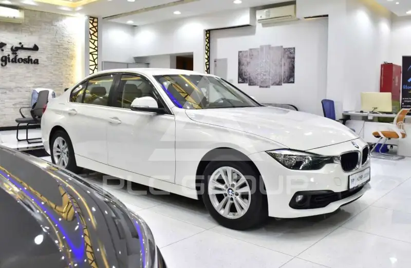2016 BMW 318