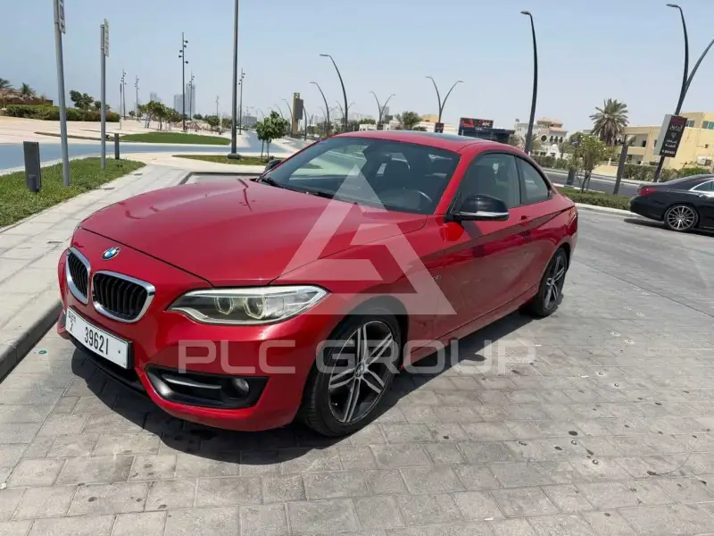 2016 BMW 220
