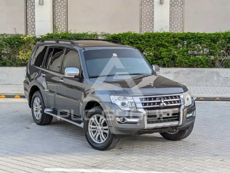2017 Mitsubishi PAJARO