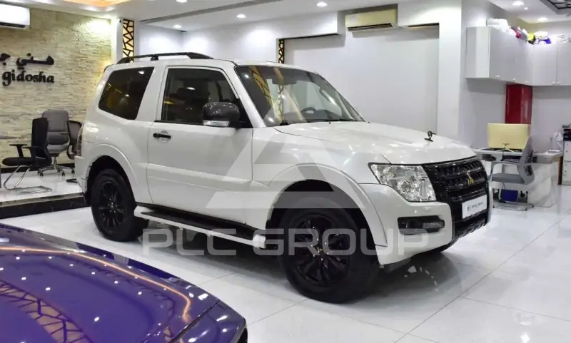 2018 Mitsubishi PAJARO