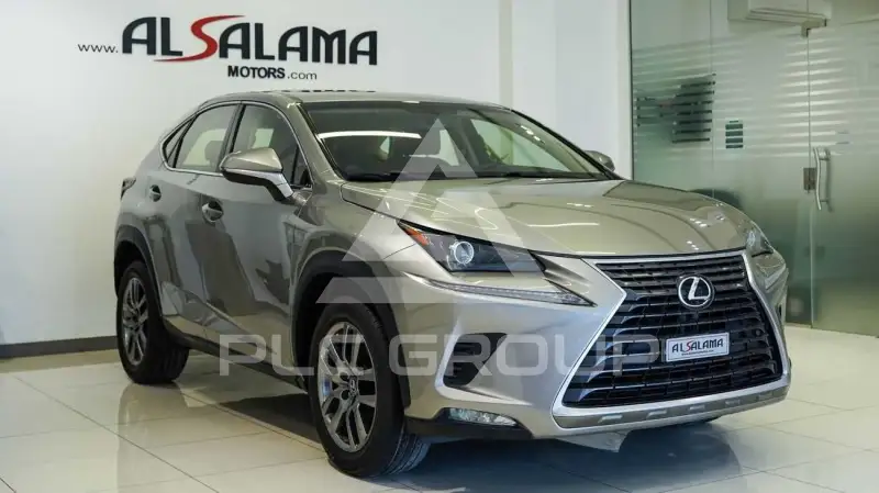 2018 Lexus NX300