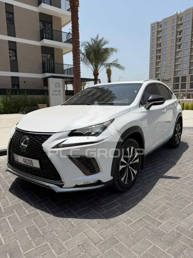 2018 Lexus NX300