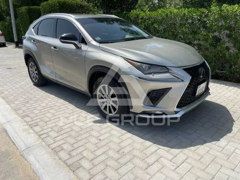 2018 Lexus NX200T