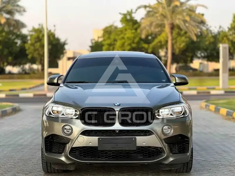 2019 BMW XM