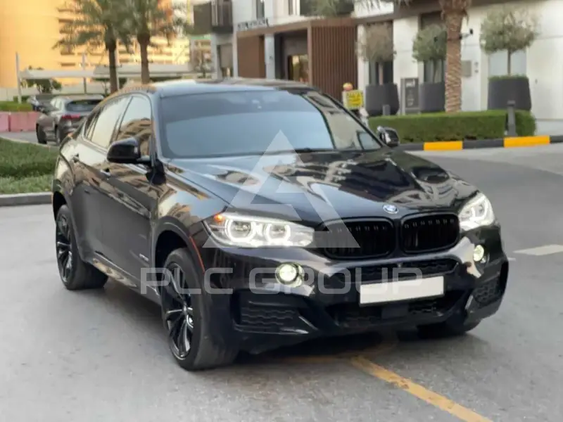 2019 BMW X6