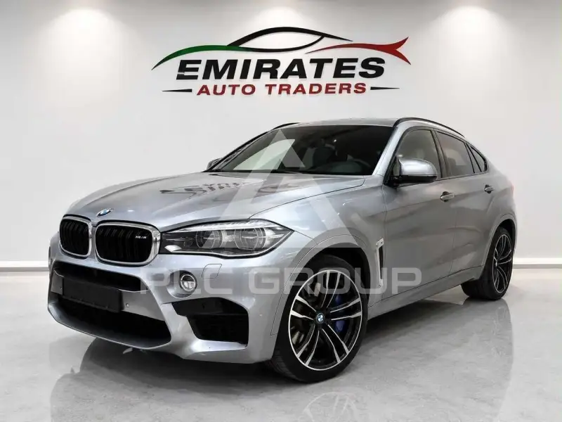 2019 BMW X6