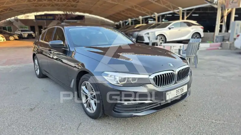 2019 BMW 520