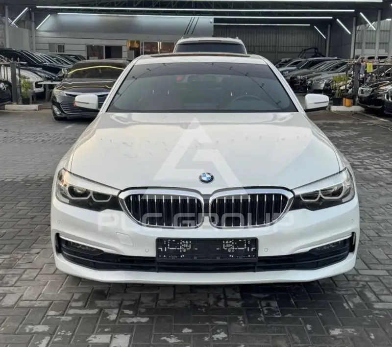 2019 BMW 520