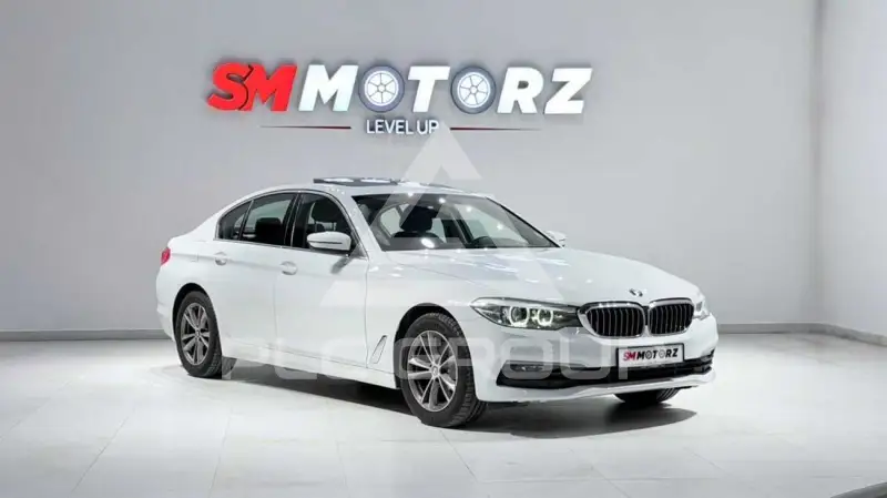 2019 BMW 520