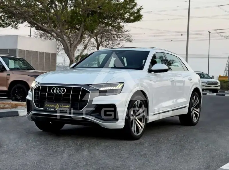 2019 Audi Q8