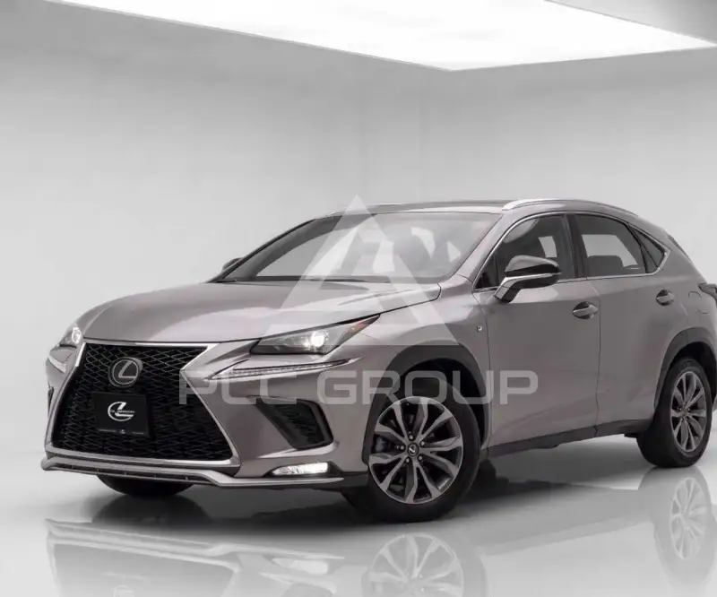 2019 Lexus NX300