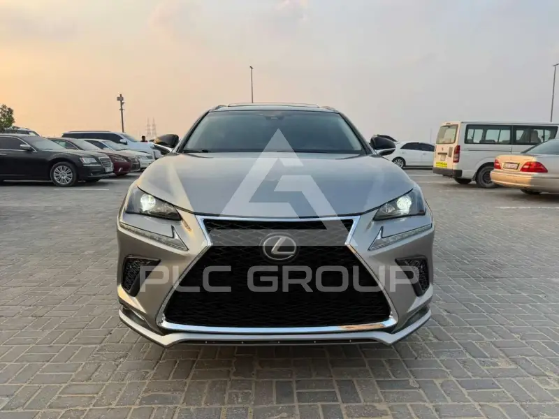 2019 Lexus NX300