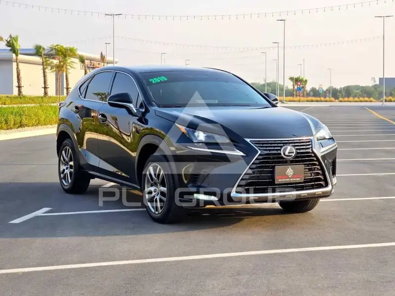 2019 Lexus NX300