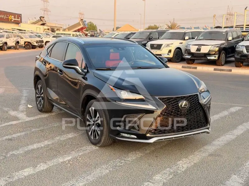 2019 Lexus NX300