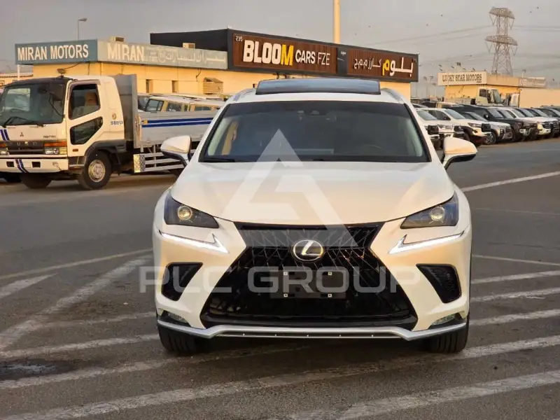 2019 Lexus NX300