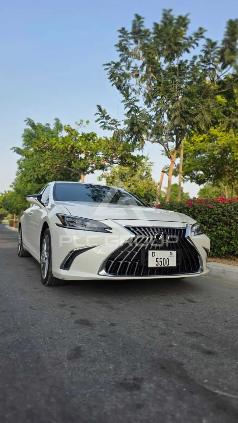 2019 Lexus ES300