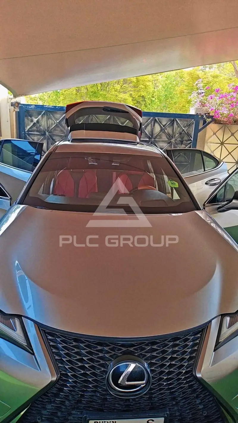 2019 Lexus UX