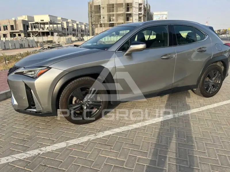 2019 Lexus UX