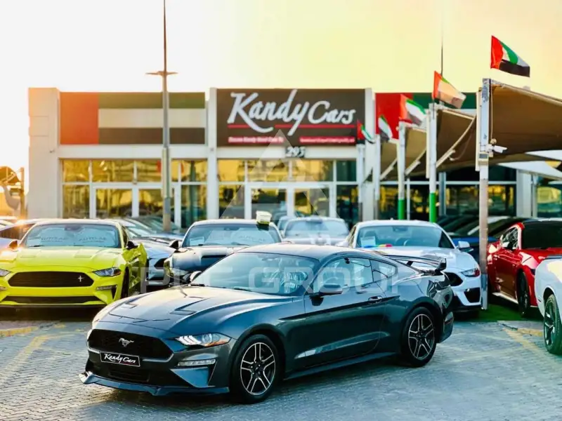 2019 Ford MUSTANG