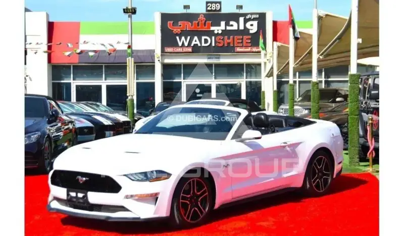 2019 Ford MUSTANG