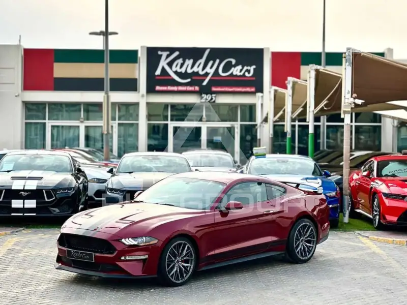 2019 Ford MUSTANG