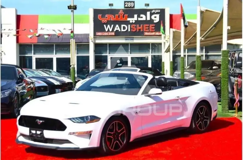 2019 Ford MUSTANG