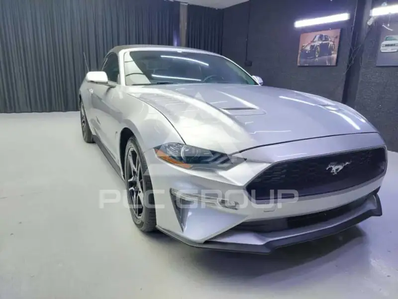 2019 Ford MUSTANG